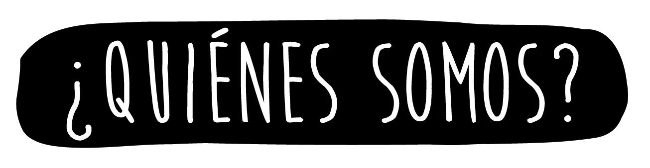 Equipo de Webnético trabajando en un proyecto